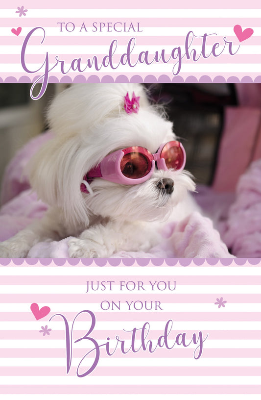 Granddaughter Cool Dog Birthday Greeting Card