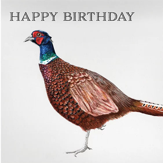 Birthday Card - Pheasant
