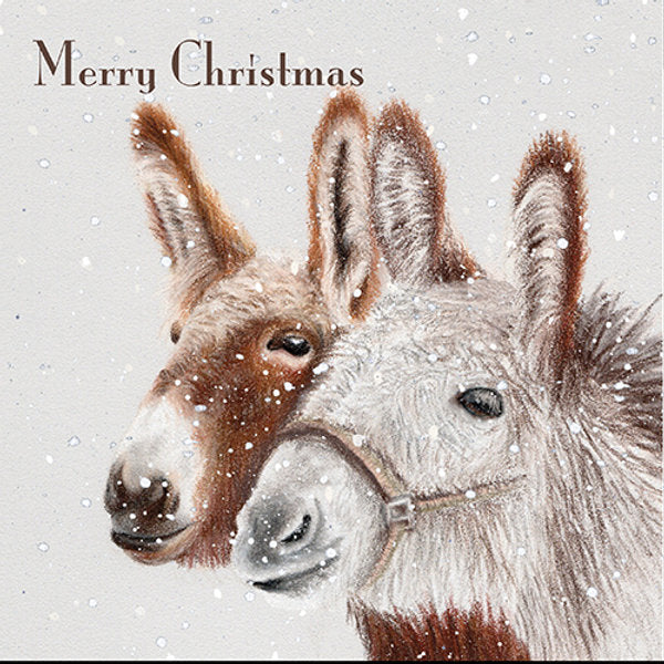 Donkey Christmas 6 Card Pack