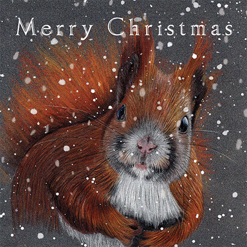 Red Squirrel Christmas 6 Card Pack
