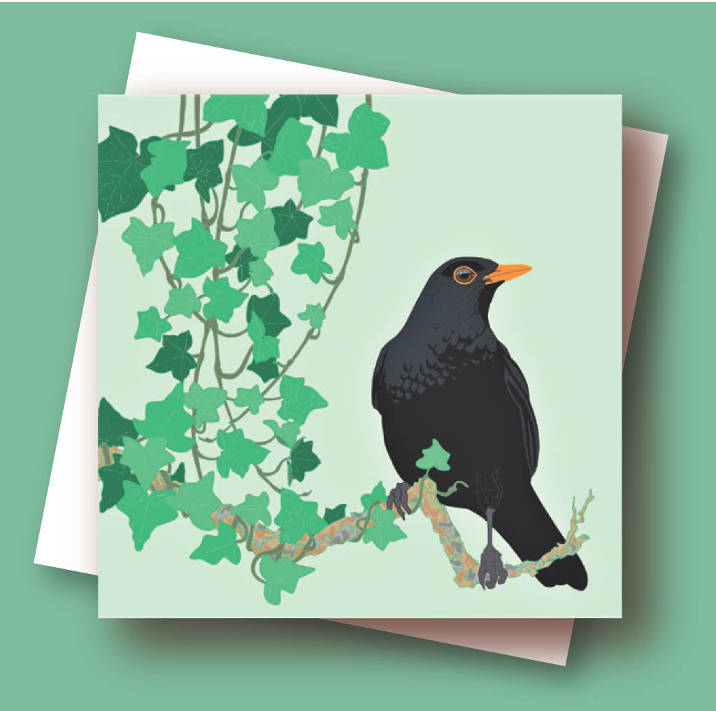 Blackbird With Ivy Umbellifer Botanical Greetings Card