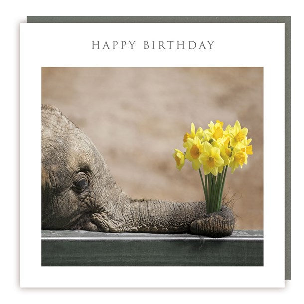 Elephant with Daffodils Happy Birthday Card