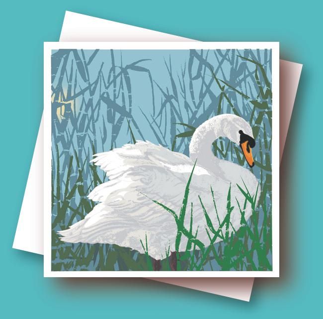 Mute Swan & Reeds Umbellifer Greetings Card