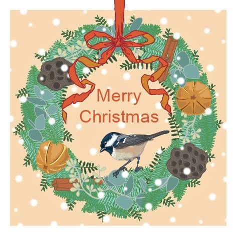 Rustic Wreath & Coal Tit Umbellifer Charity Christmas Card
