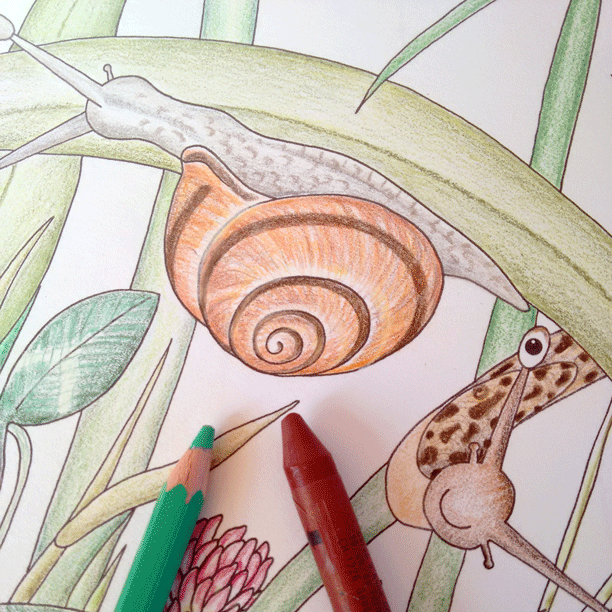 Slugs & Snails Book Little Nature Explorers series by Dr Emma Lawrence page 21