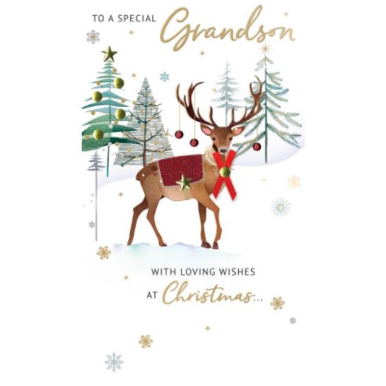 Grandson Reindeer Christmas Greetings Card