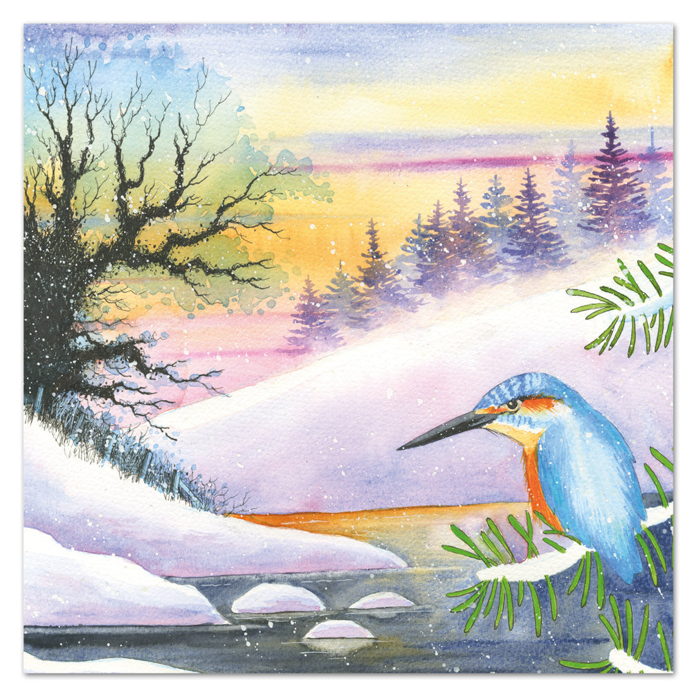 Eric Heyman Kingfisher Pack of 6 Christmas Cards