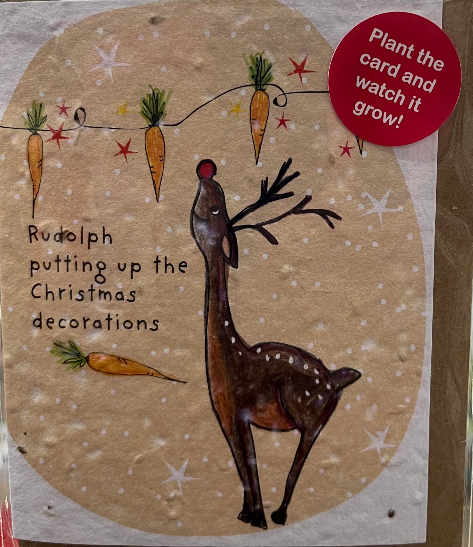Rudolph putting up the Christmas decorations Plantable Card