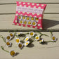 20 Silk Daisy Chain - Pillow Boxes